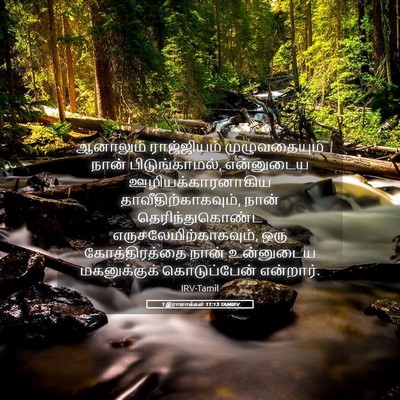 Picture 05 - 1 இராஜாக்கள் 11:13 TAMIRV - ஆனாலும் ராஜ்ஜியம் - Bible Verse Picture