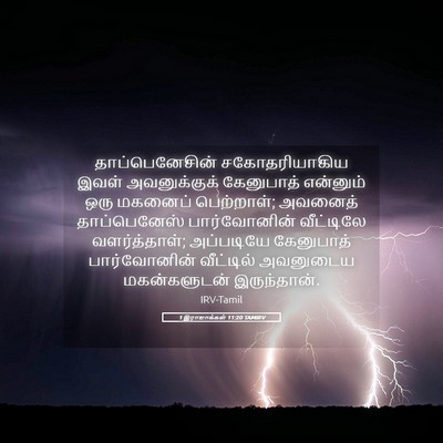 Picture 05 - 1 இராஜாக்கள் 11:20 TAMIRV - தாப்பெனேசின் - Bible Verse Picture