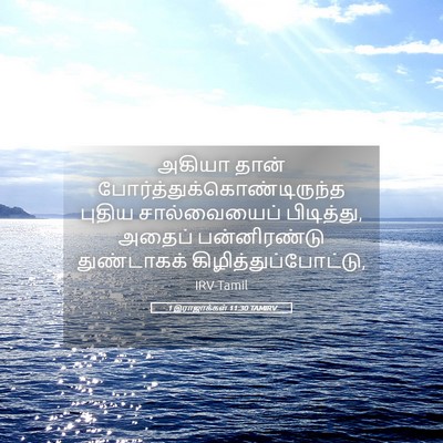 Picture 05 - 1 இராஜாக்கள் 11:30 TAMIRV - அகியா தான் - Bible Verse Picture