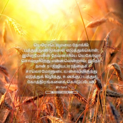 Picture 05 - 1 இராஜாக்கள் 11:31 TAMIRV - யெரொபெயாமை - Bible Verse Picture