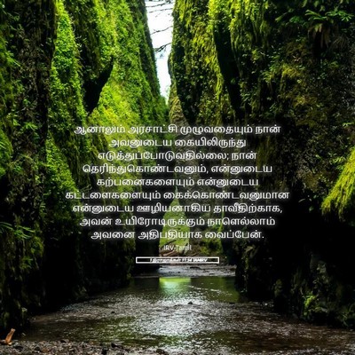Picture 05 - 1 இராஜாக்கள் 11:34 TAMIRV - ஆனாலும் அரசாட்சி - Bible Verse Picture