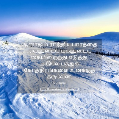 Picture 05 - 1 இராஜாக்கள் 11:35 TAMIRV - ஆனாலும் - Bible Verse Picture