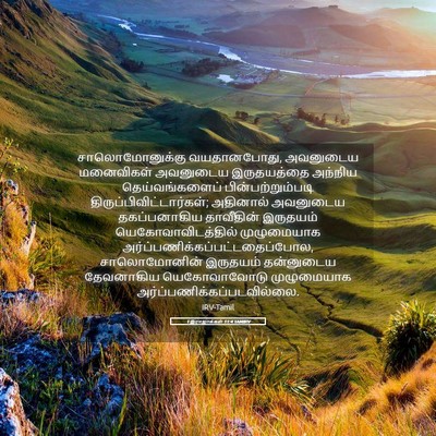 Picture 05 - 1 இராஜாக்கள் 11:4 TAMIRV - சாலொமோனுக்கு - Bible Verse Picture