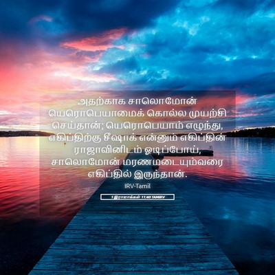 Picture 05 - 1 இராஜாக்கள் 11:40 TAMIRV - அதற்காக சாலொமோன் - Bible Verse Picture