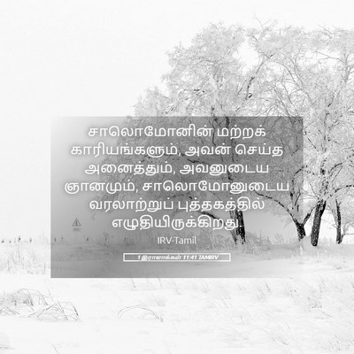 Picture 05 - 1 இராஜாக்கள் 11:41 TAMIRV - சாலொமோனின் மற்றக் - Bible Verse Picture