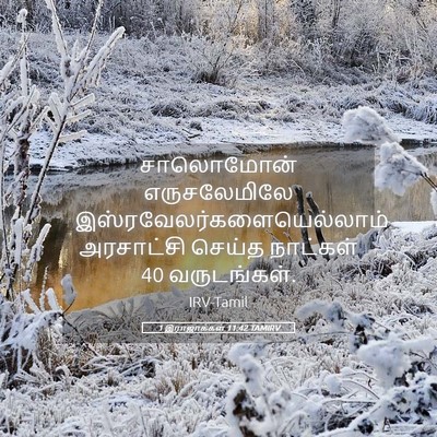 Picture 05 - 1 இராஜாக்கள் 11:42 TAMIRV - சாலொமோன் - Bible Verse Picture