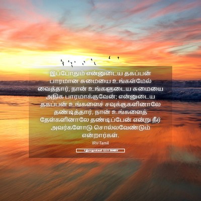 Picture 05 - 1 இராஜாக்கள் 12:11 TAMIRV - இப்போதும் - Bible Verse Picture