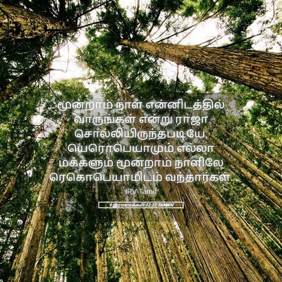 Picture 05 - 1 இராஜாக்கள் 12:12 TAMIRV - மூன்றாம் நாள் - Bible Verse Picture
