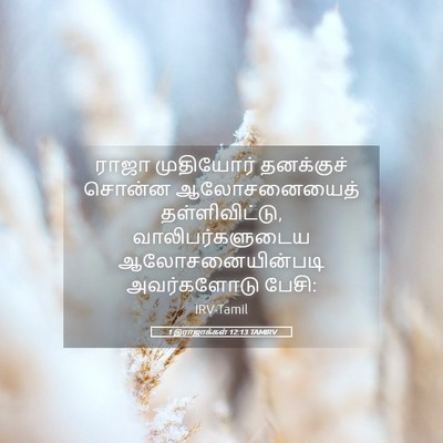 Picture 05 - 1 இராஜாக்கள் 12:13 TAMIRV - ராஜா முதியோர் - Bible Verse Picture