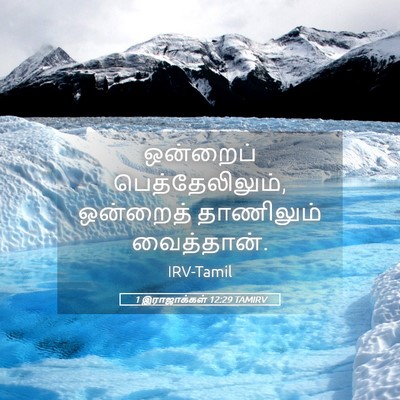 Picture 05 - 1 இராஜாக்கள் 12:29 TAMIRV - ஒன்றைப் - Bible Verse Picture