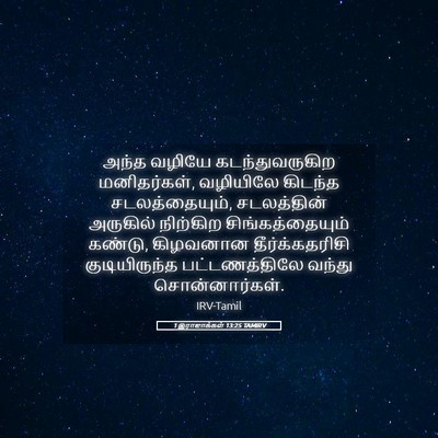 Picture 05 - 1 இராஜாக்கள் 13:25 TAMIRV - அந்த வழியே - Bible Verse Picture