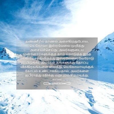Picture 05 - 1 இராஜாக்கள் 14:15 TAMIRV - தண்ணீரில் நாணல் - Bible Verse Picture