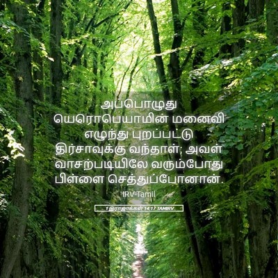 Picture 05 - 1 இராஜாக்கள் 14:17 TAMIRV - அப்பொழுது - Bible Verse Picture