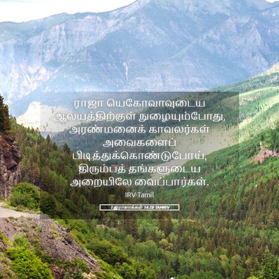 Picture 05 - 1 இராஜாக்கள் 14:28 TAMIRV - ராஜா யெகோவாவுடைய - Bible Verse Picture