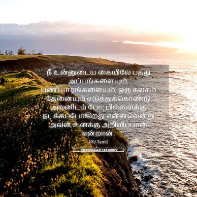 Picture 05 - 1 இராஜாக்கள் 14:3 TAMIRV - நீ உன்னுடைய - Bible Verse Picture