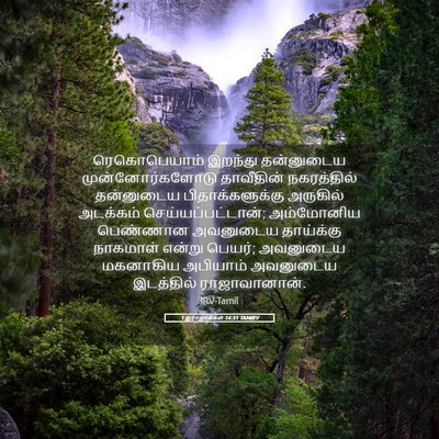 Picture 05 - 1 இராஜாக்கள் 14:31 TAMIRV - ரெகொபெயாம் இறந்து - Bible Verse Picture