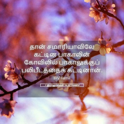 Picture 05 - 1 இராஜாக்கள் 16:32 TAMIRV - தான் சமாரியாவிலே - Bible Verse Picture