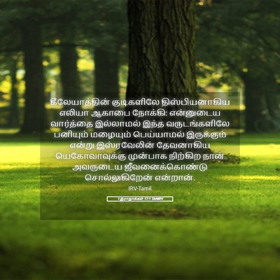 Picture 05 - 1 இராஜாக்கள் 17:1 TAMIRV - கீலேயாத்தின் - Bible Verse Picture