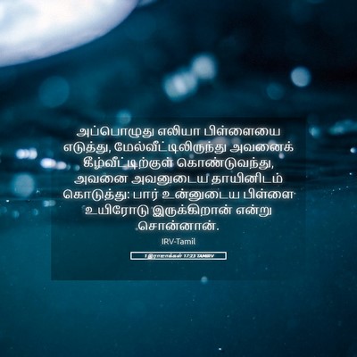 Picture 05 - 1 இராஜாக்கள் 17:23 TAMIRV - அப்பொழுது எலியா - Bible Verse Picture