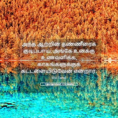 Picture 05 - 1 இராஜாக்கள் 17:4 TAMIRV - அந்த ஆற்றின் - Bible Verse Picture
