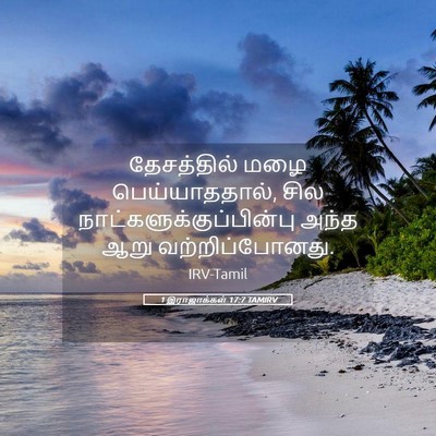 Picture 05 - 1 இராஜாக்கள் 17:7 TAMIRV - தேசத்தில் மழை - Bible Verse Picture