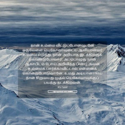Picture 05 - 1 இராஜாக்கள் 18:12 TAMIRV - நான் உம்மை - Bible Verse Picture