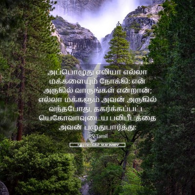 Picture 05 - 1 இராஜாக்கள் 18:30 TAMIRV - அப்பொழுது எலியா - Bible Verse Picture