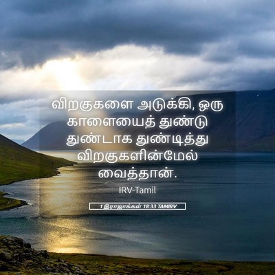 Picture 05 - 1 இராஜாக்கள் 18:33 TAMIRV - விறகுகளை அடுக்கி, - Bible Verse Picture