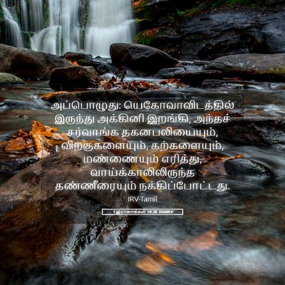 Picture 05 - 1 இராஜாக்கள் 18:38 TAMIRV - அப்பொழுது: - Bible Verse Picture