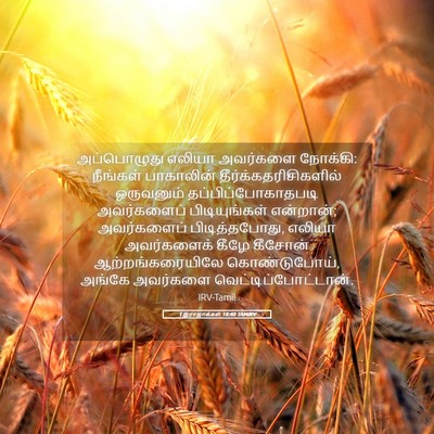 Picture 05 - 1 இராஜாக்கள் 18:40 TAMIRV - அப்பொழுது எலியா - Bible Verse Picture
