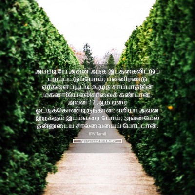 Picture 05 - 1 இராஜாக்கள் 19:19 TAMIRV - அப்படியே அவன் - Bible Verse Picture