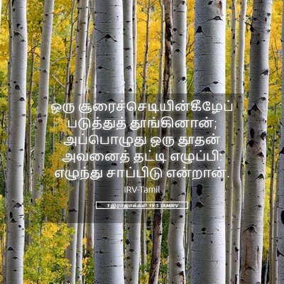 Picture 05 - 1 இராஜாக்கள் 19:5 TAMIRV - ஒரு - Bible Verse Picture