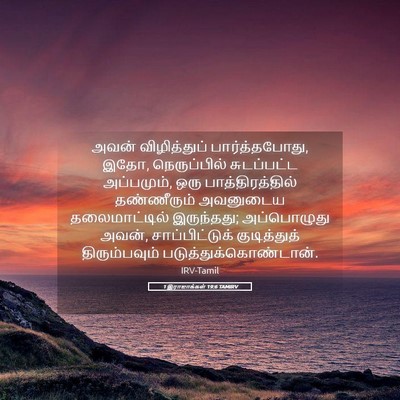 Picture 05 - 1 இராஜாக்கள் 19:6 TAMIRV - அவன் விழித்துப் - Bible Verse Picture