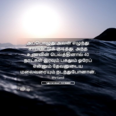 Picture 05 - 1 இராஜாக்கள் 19:8 TAMIRV - அப்பொழுது அவன் - Bible Verse Picture
