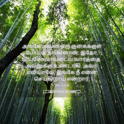 Picture 05 - 1 இராஜாக்கள் 19:9 TAMIRV - அங்கே அவன் ஒரு - Bible Verse Picture