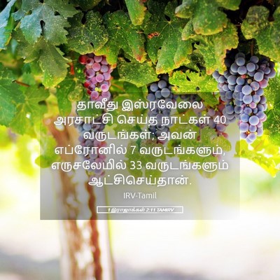 Picture 05 - 1 இராஜாக்கள் 2:11 TAMIRV - தாவீது இஸ்ரவேலை - Bible Verse Picture