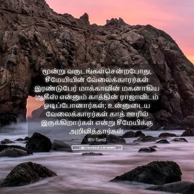 Picture 05 - 1 இராஜாக்கள் 2:39 TAMIRV - மூன்று - Bible Verse Picture