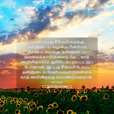 Picture 05 - 1 இராஜாக்கள் 2:40 TAMIRV - அப்பொழுது சீமேயி - Bible Verse Picture