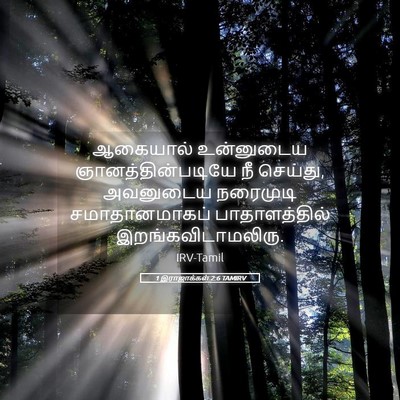 Picture 05 - 1 இராஜாக்கள் 2:6 TAMIRV - ஆகையால் உன்னுடைய - Bible Verse Picture
