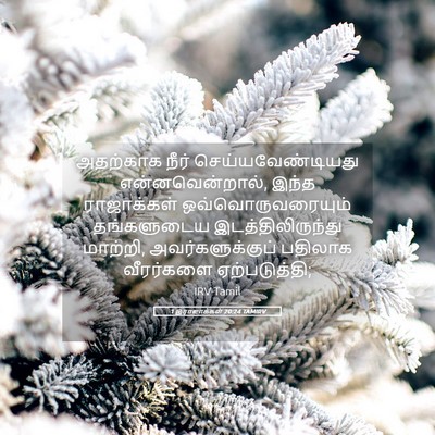 Picture 05 - 1 இராஜாக்கள் 20:24 TAMIRV - அதற்காக நீர் - Bible Verse Picture