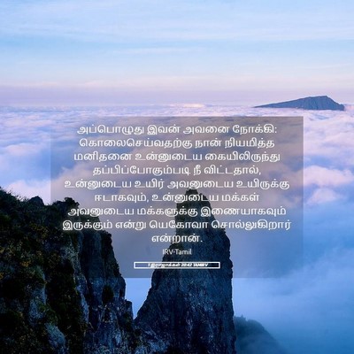 Picture 05 - 1 இராஜாக்கள் 20:42 TAMIRV - அப்பொழுது இவன் - Bible Verse Picture