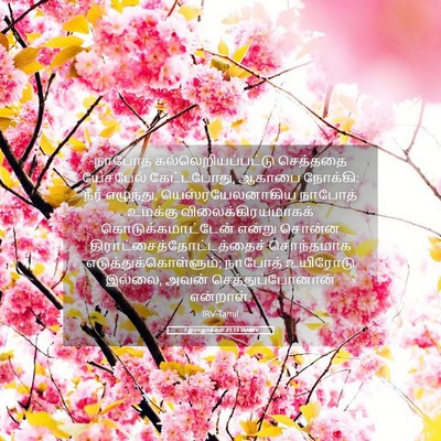 Picture 05 - 1 இராஜாக்கள் 21:15 TAMIRV - நாபோத் - Bible Verse Picture