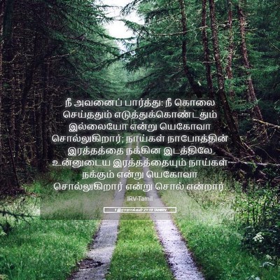 Picture 05 - 1 இராஜாக்கள் 21:19 TAMIRV - நீ அவனைப் - Bible Verse Picture