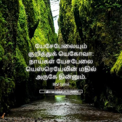 Picture 05 - 1 இராஜாக்கள் 21:23 TAMIRV - யேசேபேலையும் - Bible Verse Picture