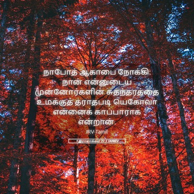 Picture 05 - 1 இராஜாக்கள் 21:3 TAMIRV - நாபோத் ஆகாபை - Bible Verse Picture