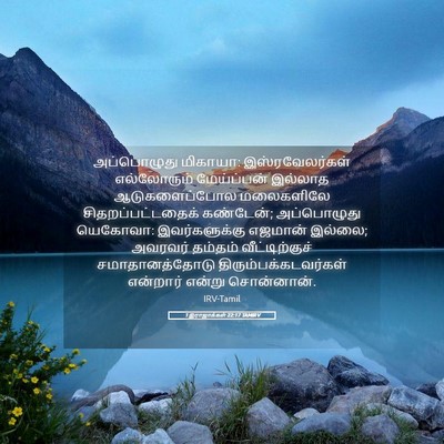 Picture 05 - 1 இராஜாக்கள் 22:17 TAMIRV - அப்பொழுது மிகாயா: - Bible Verse Picture