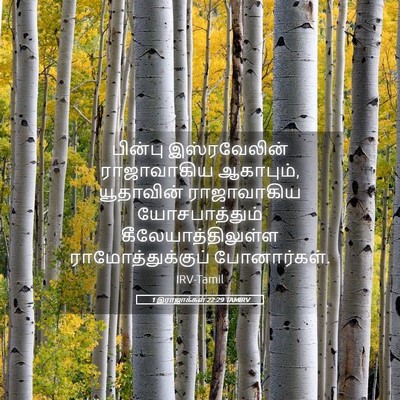 Picture 05 - 1 இராஜாக்கள் 22:29 TAMIRV - பின்பு இஸ்ரவேலின் - Bible Verse Picture