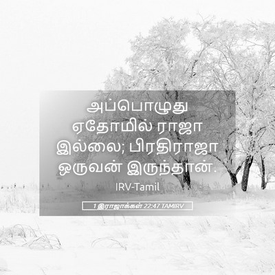 Picture 05 - 1 இராஜாக்கள் 22:47 TAMIRV - அப்பொழுது ஏதோமில் - Bible Verse Picture