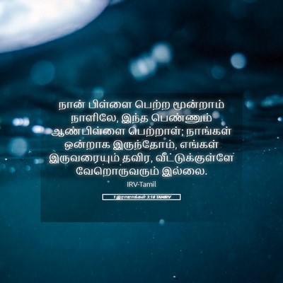 Picture 05 - 1 இராஜாக்கள் 3:18 TAMIRV - நான் பிள்ளை பெற்ற - Bible Verse Picture