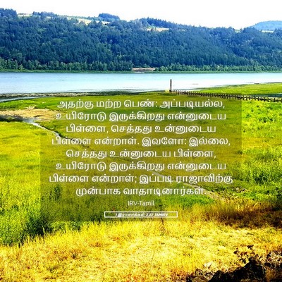 Picture 05 - 1 இராஜாக்கள் 3:22 TAMIRV - அதற்கு மற்ற பெண்: - Bible Verse Picture